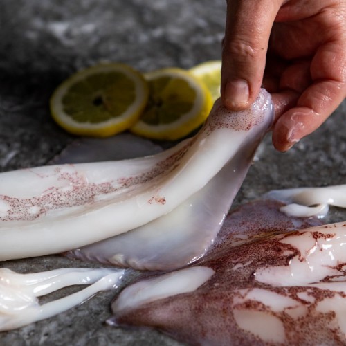 ποιοτικά ψάρια στο εστιατόριο θαλασσινών θεσσαλονίκη