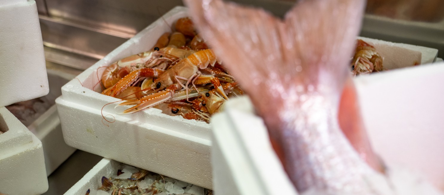 ψαροταβέρνα αρετσου θεσσαλονίκη