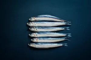 Γάβρος - ονομασίες 