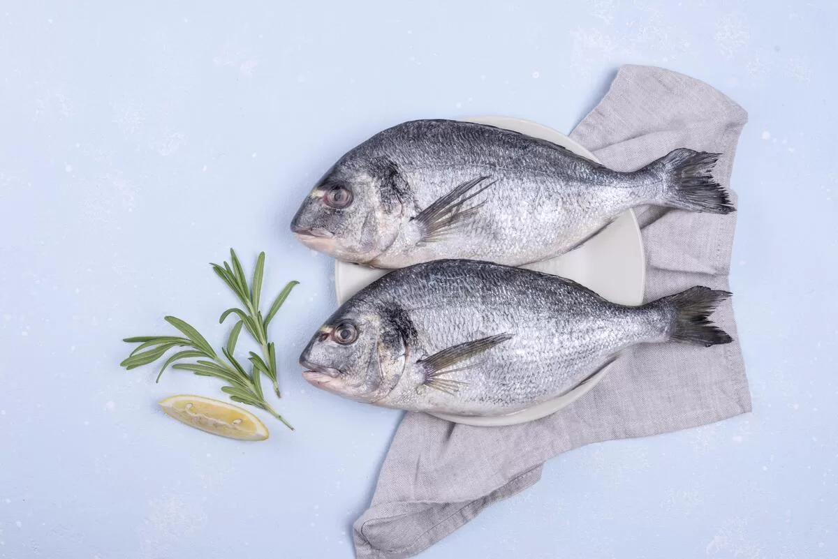 mavrithalassa - ψάρι - φρέσκα ψάρια