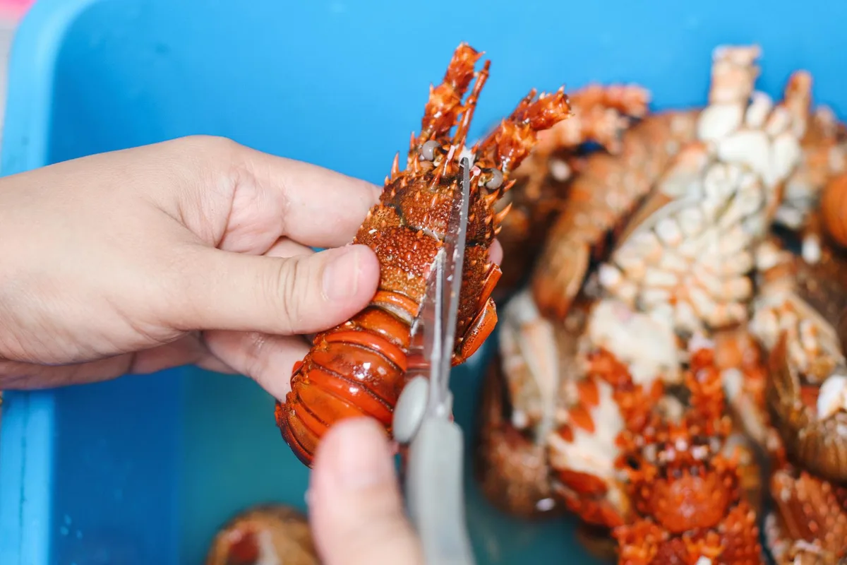 mavrithalassa - θαλασσινά - αστακός